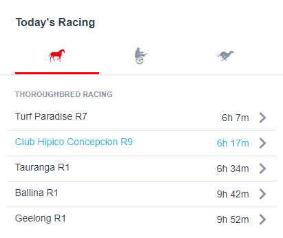 BlueBet Review: Available Sports